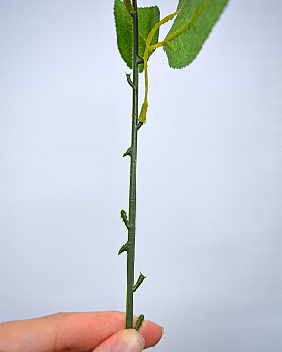  - фото 4 | 4Party