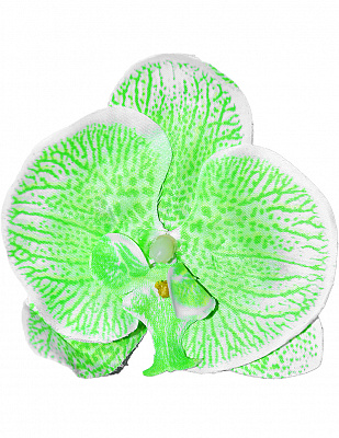 Квітка у волосся Орхідея (салатова)