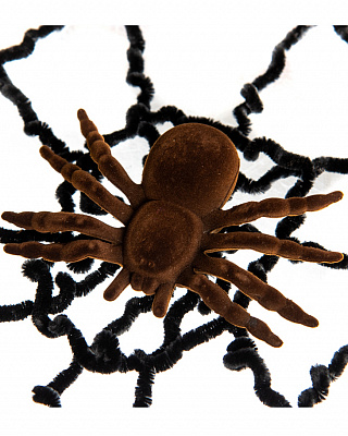 Павутина чорна з коричневим павуком