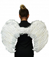 Крила білі янгола 70х50 см