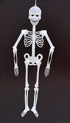 Скелет сяючий